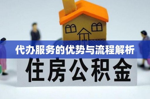 肃南代办服务的优势与流程解析