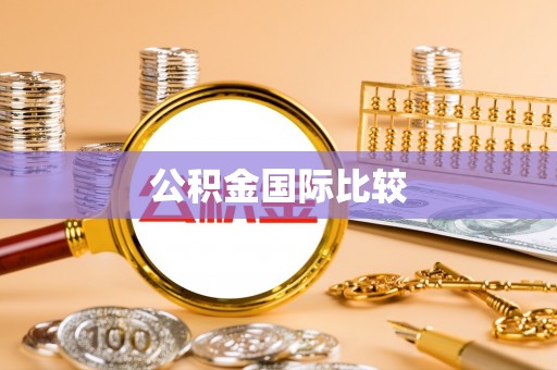 肃南公积金国际比较