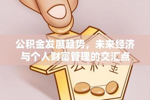 肃南公积金发展趋势，未来经济与个人财富管理的交汇点