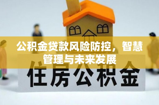 肃南公积金贷款风险防控，智慧管理与未来发展