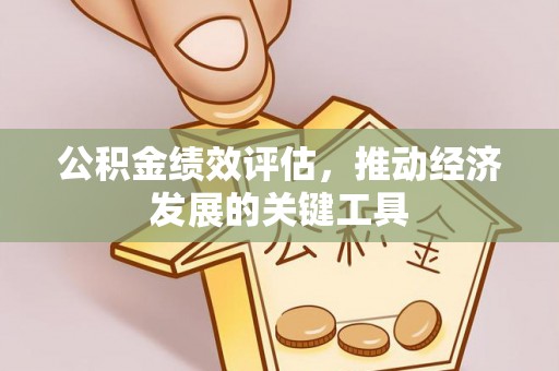 肃南公积金绩效评估，推动经济发展的关键工具