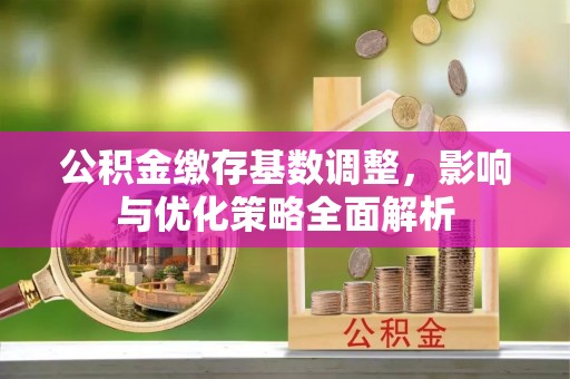 肃南公积金缴存基数调整，影响与优化策略全面解析