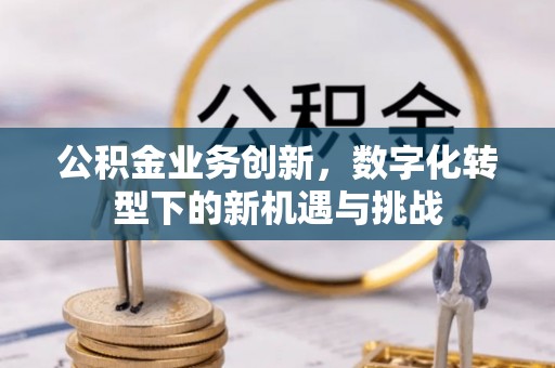 肃南公积金业务创新，数字化转型下的新机遇与挑战