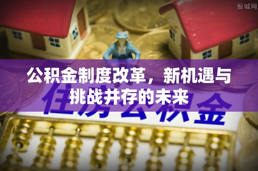肃南公积金制度改革，新机遇与挑战并存的未来