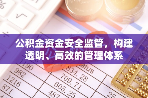 肃南公积金资金安全监管，构建透明、高效的管理体系