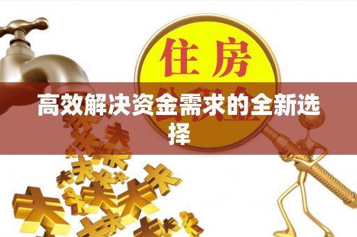 肃南高效解决资金需求的全新选择
