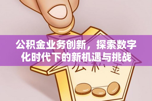 肃南公积金业务创新，探索数字化时代下的新机遇与挑战
