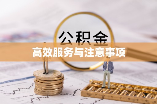 肃南高效服务与注意事项