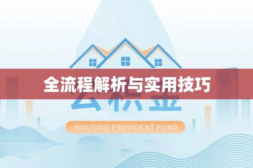 肃南全流程解析与实用技巧