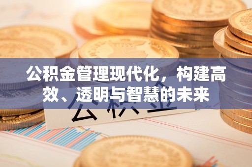 肃南公积金管理现代化，构建高效、透明与智慧的未来