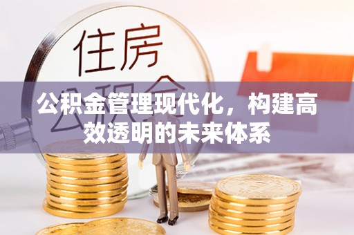 肃南公积金管理现代化，构建高效透明的未来体系