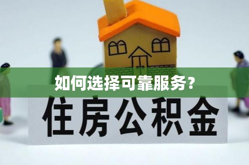 肃南如何选择可靠服务？