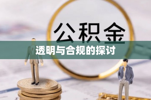 肃南透明与合规的探讨