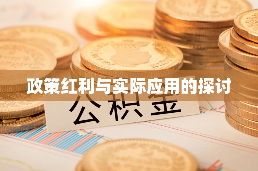 肃南政策红利与实际应用的探讨