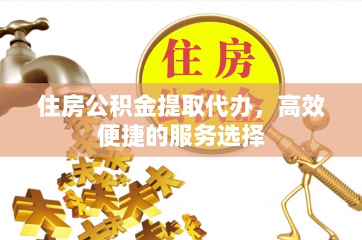 肃南住房公积金提取代办，高效便捷的服务选择