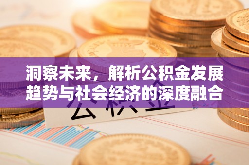 肃南洞察未来，解析公积金发展趋势与社会经济的深度融合