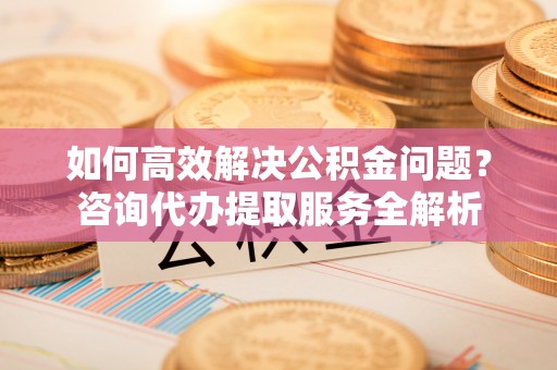 肃南如何高效解决公积金问题？咨询代办提取服务全解析