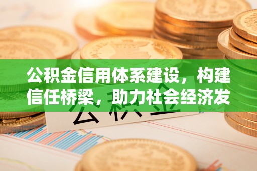 肃南公积金信用体系建设，构建信任桥梁，助力社会经济发展