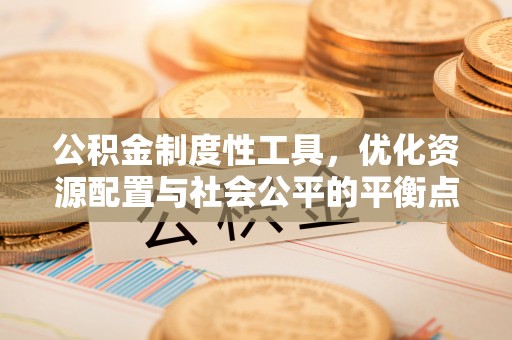 肃南公积金制度性工具，优化资源配置与社会公平的平衡点