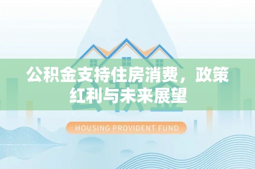 肃南公积金支持住房消费，政策红利与未来展望
