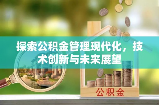肃南探索公积金管理现代化，技术创新与未来展望