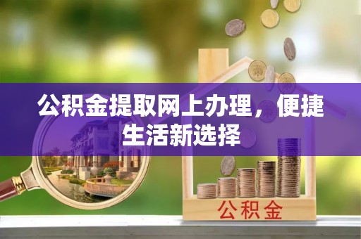 肃南公积金提取网上办理，便捷生活新选择