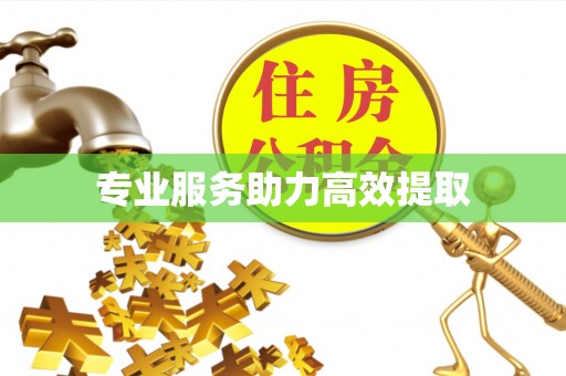 肃南专业服务助力高效提取