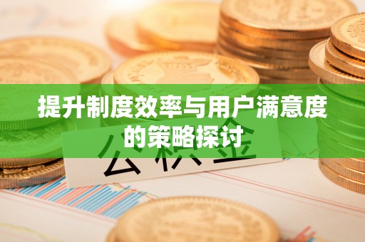 肃南提升制度效率与用户满意度的策略探讨